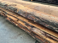 Iep (0,586 m3) - afbeelding 10 van  10