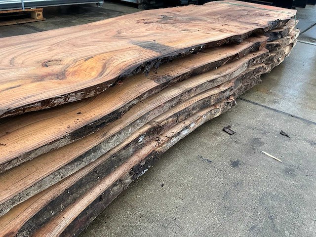 Iep (0,599 m3) - afbeelding 8 van  10