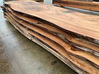 Iep (0,599 m3) - afbeelding 9 van  10