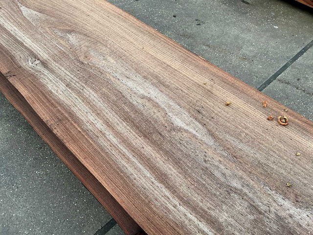 Iep (0,620 m3) - afbeelding 10 van  12