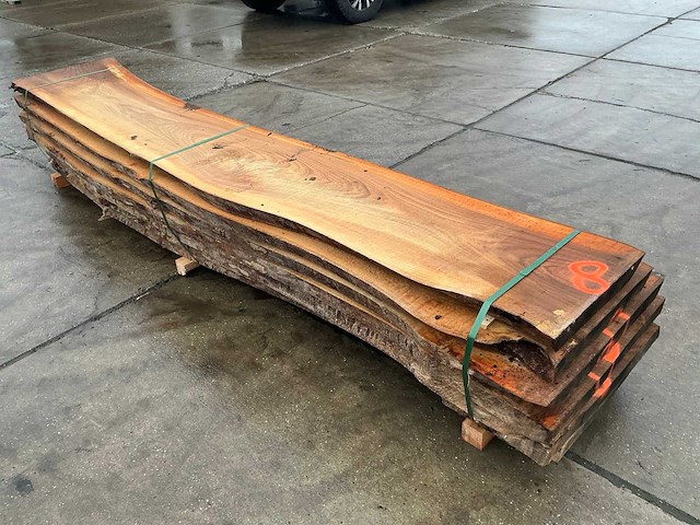 Iep (0,698 m3) - afbeelding 5 van  11