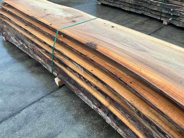 Iep (0,698 m3) - afbeelding 10 van  11