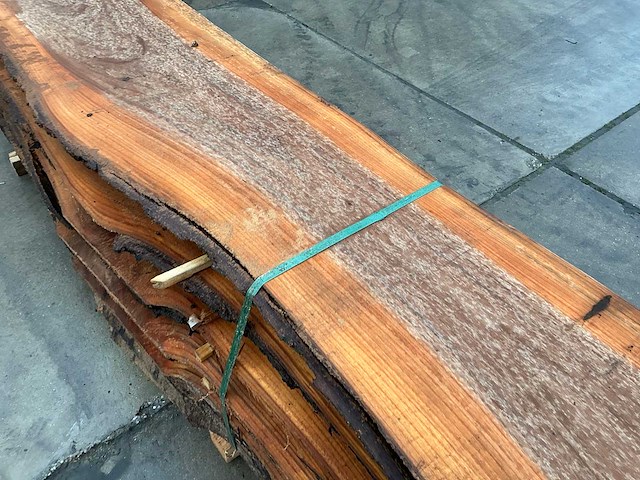 Iep (0,700 m3) - afbeelding 4 van  13