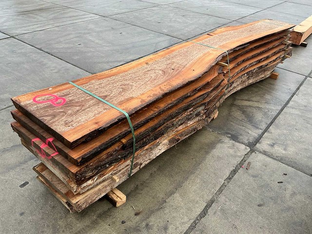 Iep (0,700 m3) - afbeelding 6 van  13