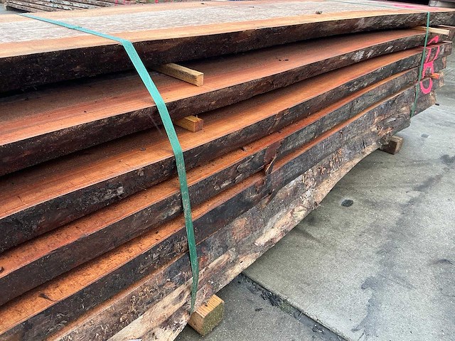 Iep (0,700 m3) - afbeelding 11 van  13