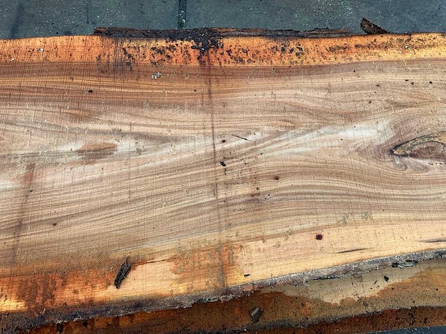 Iep (0,720 m3) - afbeelding 2 van  11