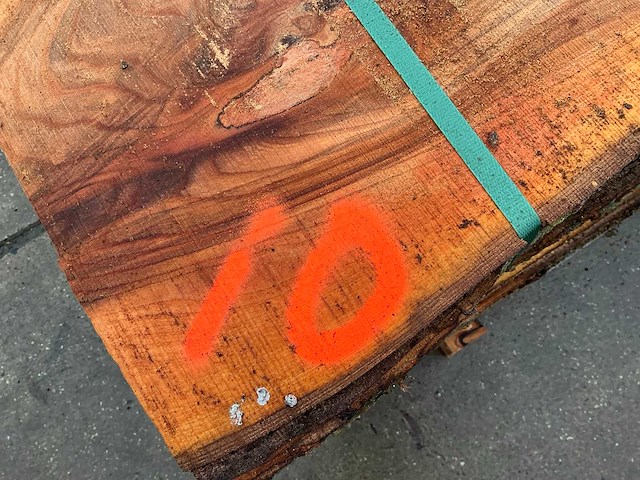 Iep (0,720 m3) - afbeelding 3 van  11