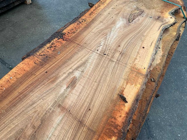 Iep (0,720 m3) - afbeelding 8 van  11