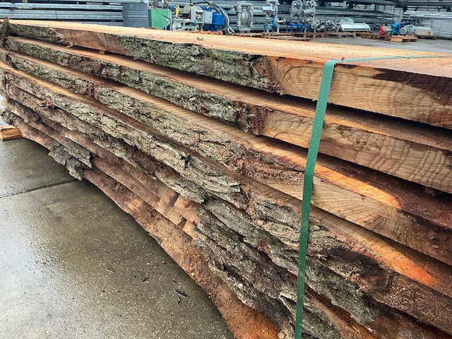 Iep (0,720 m3) - afbeelding 10 van  11