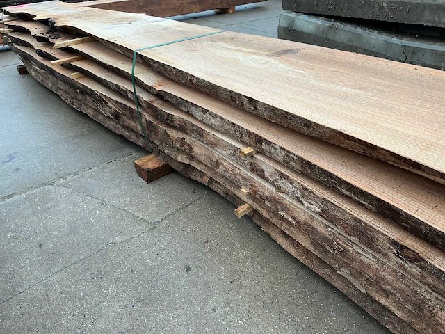 Iep (0,727 m3) - afbeelding 3 van  12