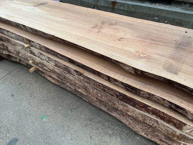 Iep (0,727 m3) - afbeelding 11 van  12