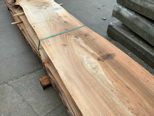 Iep (0,727 m3) - afbeelding 12 van  12