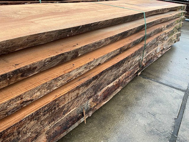 Iep (0,768 m3) - afbeelding 12 van  12