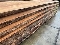 Iep (0,768 m3) - afbeelding 12 van  12