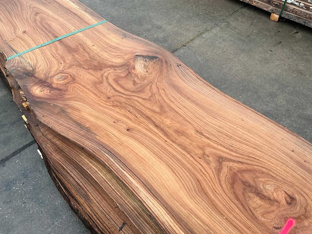 Iep (0,784 m3) - afbeelding 10 van  12