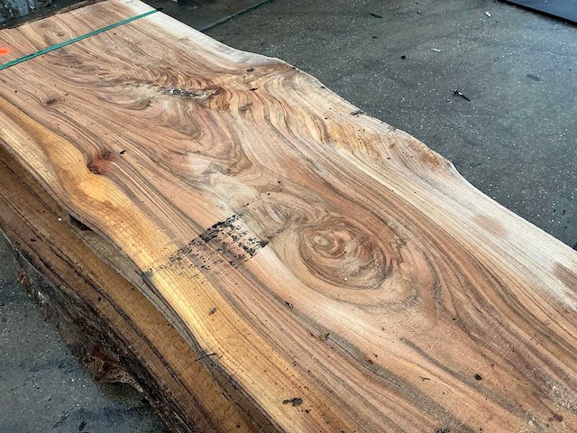 Iep (0,800 m3) - afbeelding 10 van  12