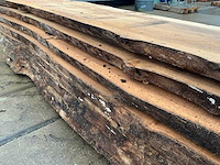 Iep (0,800 m3) - afbeelding 11 van  12