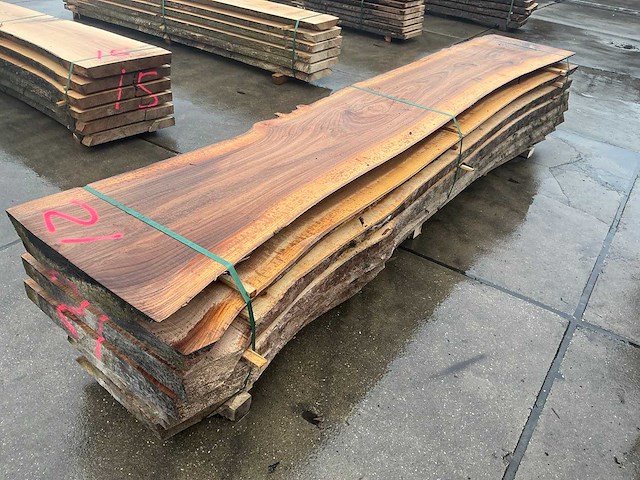 Iep (0,808 m3) - afbeelding 8 van  13