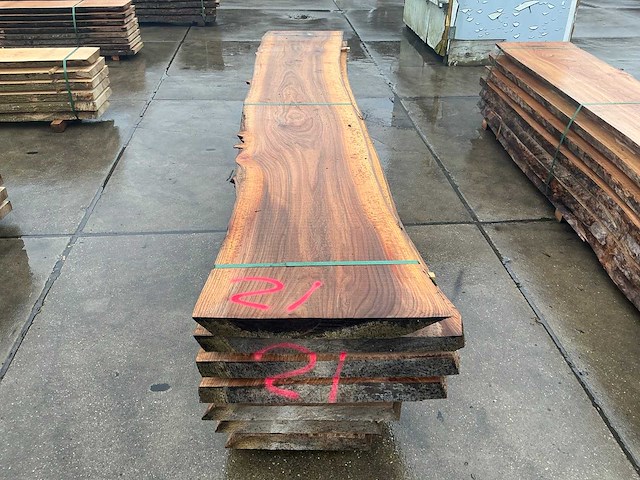 Iep (0,808 m3) - afbeelding 9 van  13