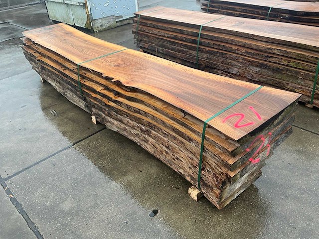 Iep (0,808 m3) - afbeelding 10 van  13