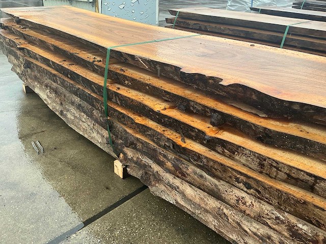 Iep (0,808 m3) - afbeelding 13 van  13