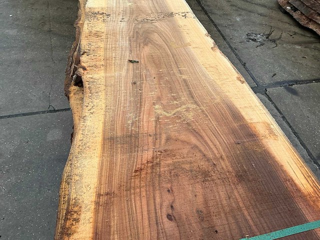 Iep (1,09 m3) - afbeelding 2 van  11