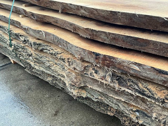 Iep (1,09 m3) - afbeelding 9 van  11