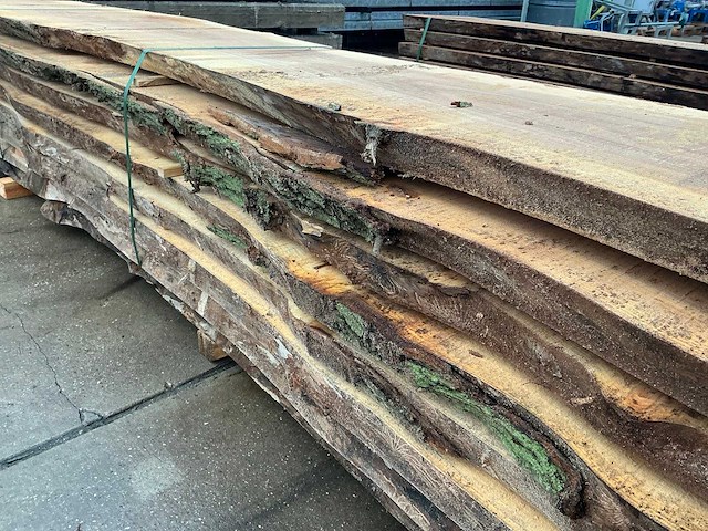 Iep (1,09 m3) - afbeelding 11 van  11