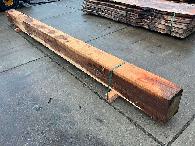 Iepen balk - afbeelding 1 van  10