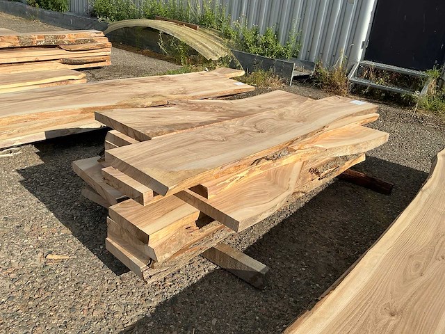 Iepen hout 45mm (16x) - afbeelding 1 van  4