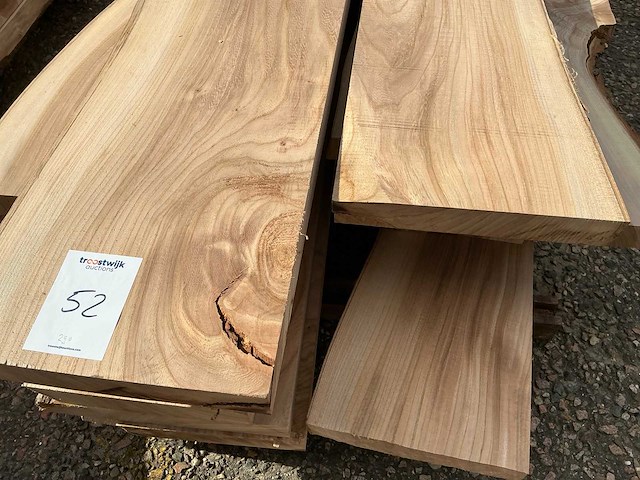 Iepen hout 45mm (16x) - afbeelding 3 van  4