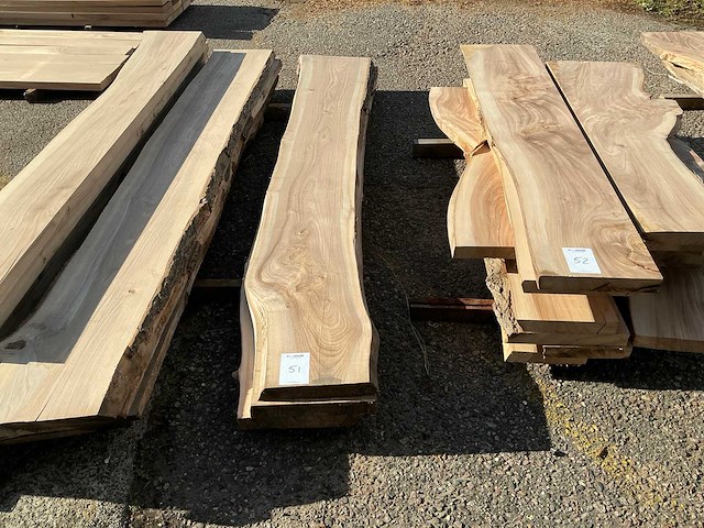 Iepen hout 45mm (3x) - afbeelding 1 van  1