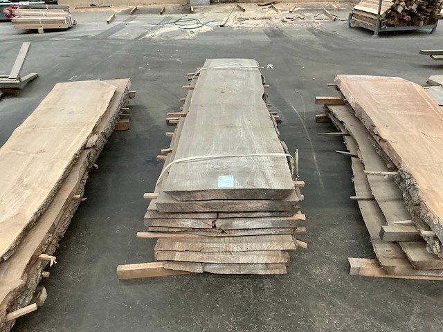 Iepen hout 50-60mm (8x) - afbeelding 4 van  4