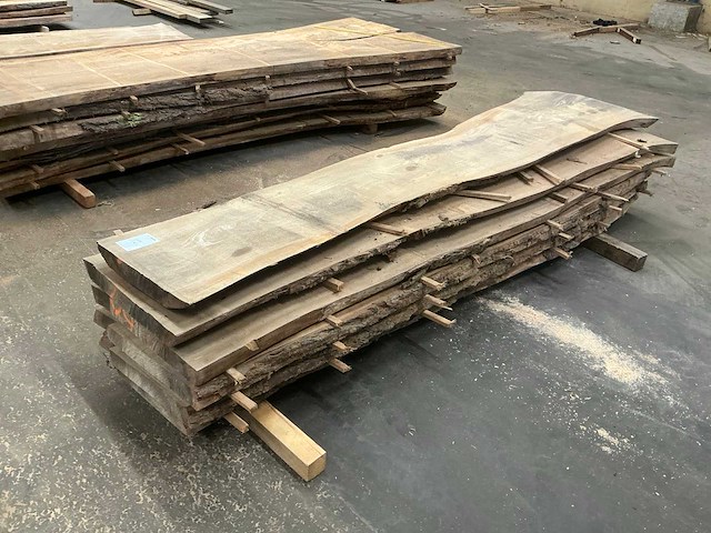 Iepen hout 55-60mm (6x) - afbeelding 1 van  4