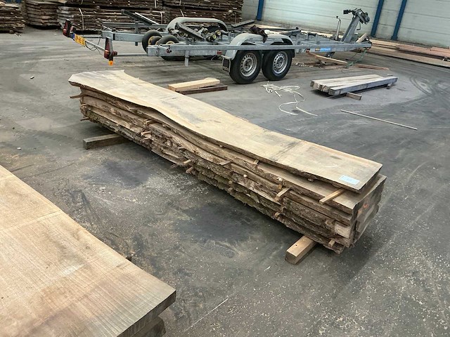 Iepen hout 55-60mm (6x) - afbeelding 2 van  4