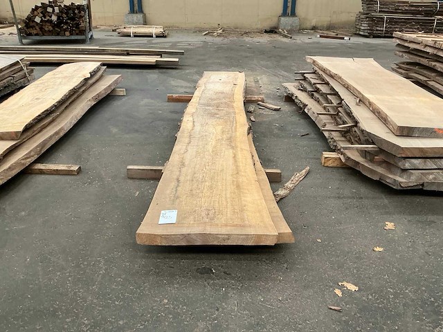 Iepen hout 55mm (2x) - afbeelding 2 van  3
