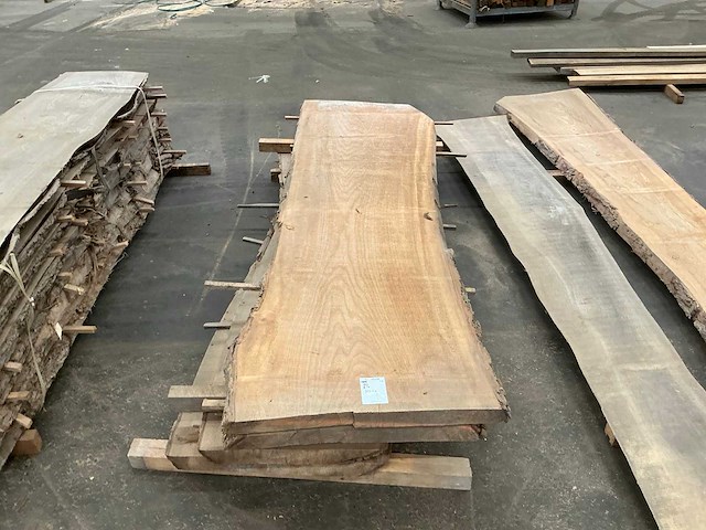 Iepen hout 60-70mm (4x) - afbeelding 3 van  4