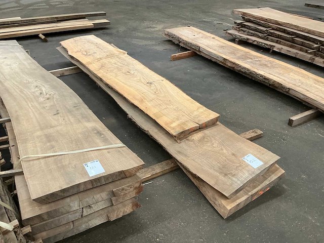 Iepen hout 60mm (3x) - afbeelding 3 van  4