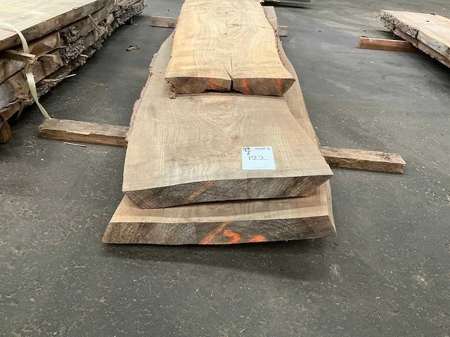 Iepen hout 60mm (3x) - afbeelding 1 van  4