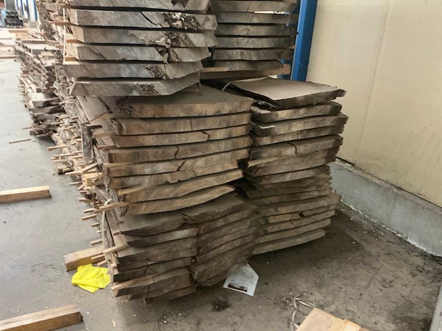 Iepen hout 60mm (55x) - afbeelding 3 van  3