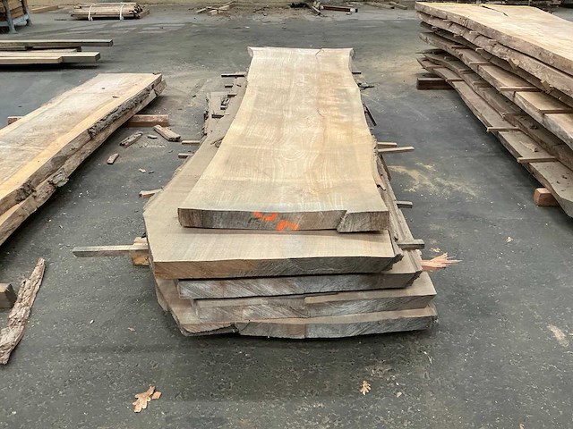 Iepen hout 60mm (5x) - afbeelding 3 van  3
