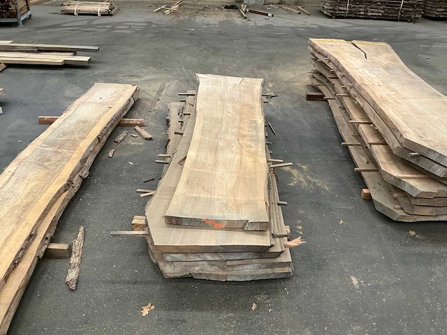 Iepen hout 60mm (5x) - afbeelding 1 van  3