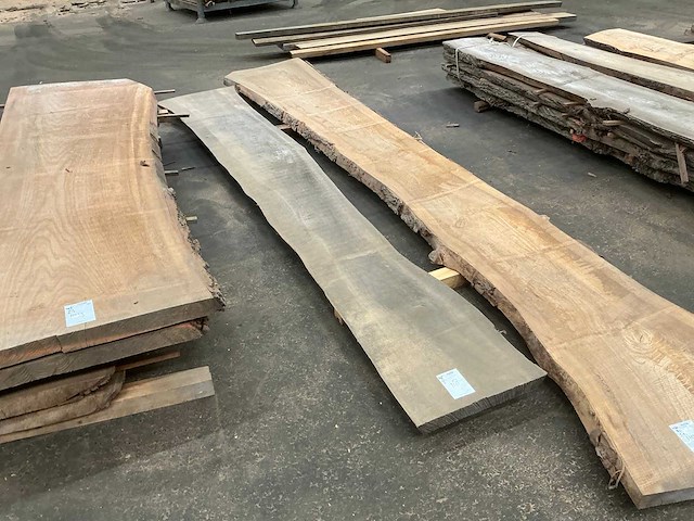 Iepen hout 60mm - afbeelding 1 van  3
