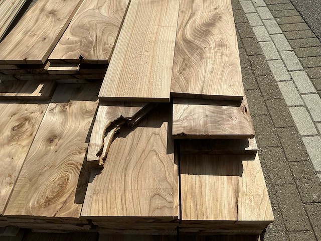 Iepen hout (80x) - afbeelding 3 van  4