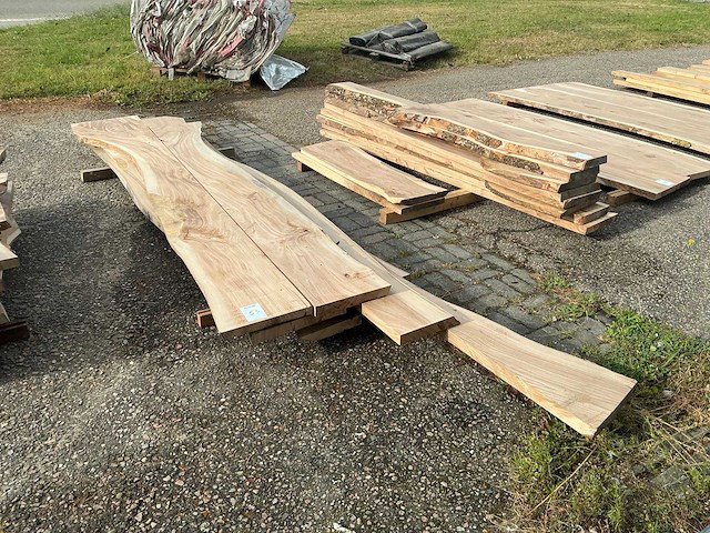 Iepen hout (8x) - afbeelding 1 van  5