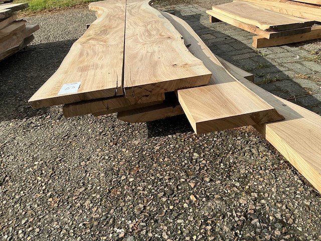 Iepen hout (8x) - afbeelding 5 van  5