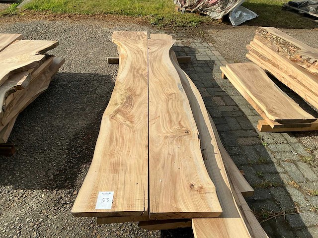 Iepen hout (8x) - afbeelding 2 van  5