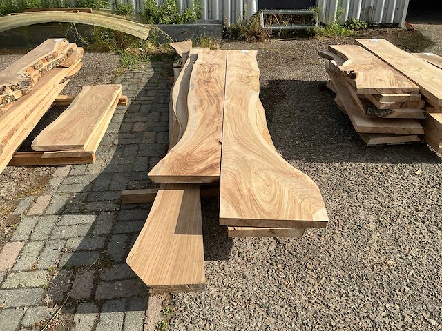 Iepen hout (8x) - afbeelding 3 van  5