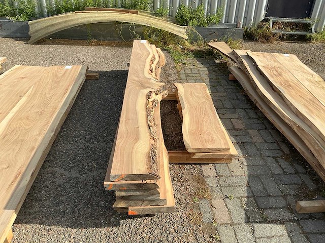 Iepen hout (8x) - afbeelding 2 van  5