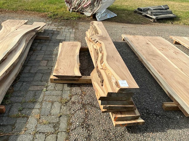 Iepen hout (8x) - afbeelding 3 van  5